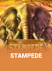 Cara Bermain Stampede dengan Benar di Android game cover